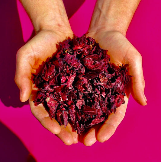 Hibiscus: The Radical Ingredient Transforming Industry Norms