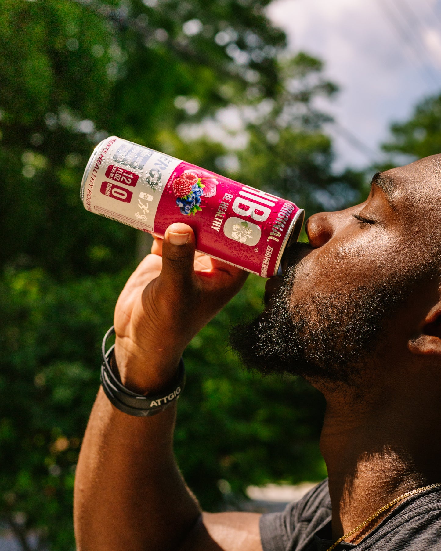 All-Natural Zero Sugar Energy Drink HIBO ORIGINAL (Mixed Berry)