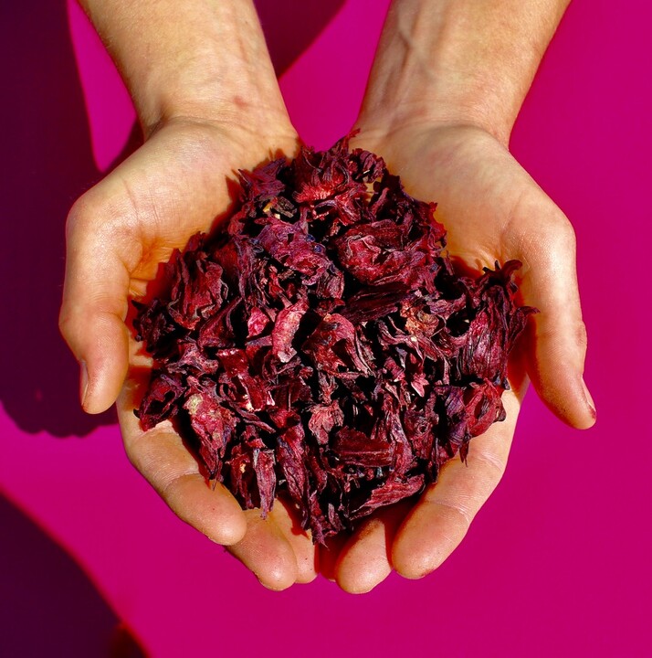 Hibiscus: The Radical Ingredient Transforming Industry Norms