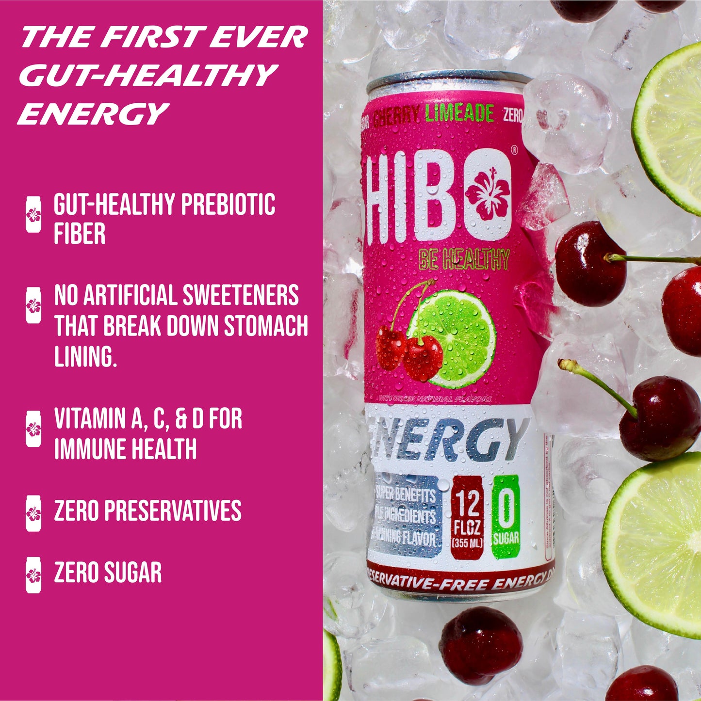 HIBO LEMON LIME, Gut-Healthy Energy Drink 12 FL OZ - Sugar Free - Preservative Free - Artificial Free - Key Electrolytes Antioxidants & Vitamins - Organic Caffeine - 10 Calories