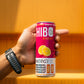 All-Natural Zero-Sugar Energy Drink HIBO ENERGY VARIETY PACK